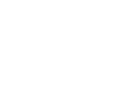 Chainlink