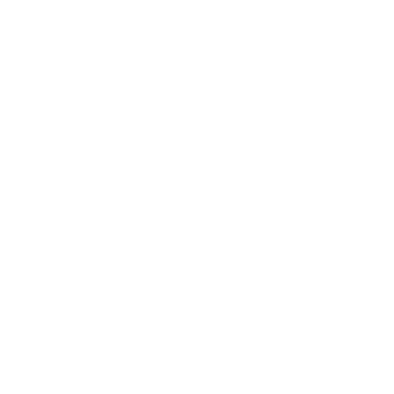 EV